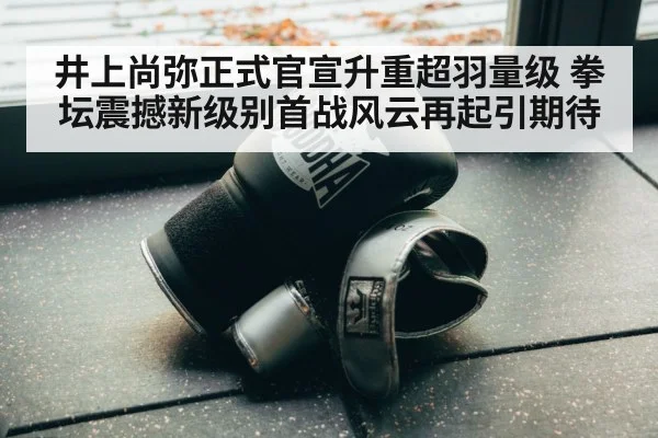 boxing training gloves